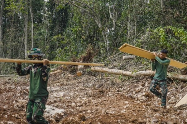 Satgas TMMD Bersama Masyarakat Ambil Material Papan untuk Pekerjaan RTLH