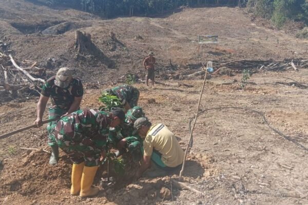 Satgas TMMD ke-129 Kodim 1407/Bone Lanjutkan Penanaman Alpukat, Dukung Penghijauan dan Ketahanan Pangan