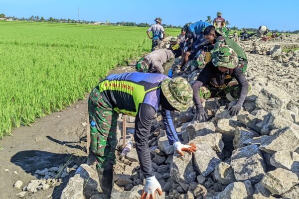 Lawan Terik Matahari, Satgas TMMD Ke-129 Kodim 1404/Pinrang Gaspol Tuntaskan Sasaran di Hari Ke-25