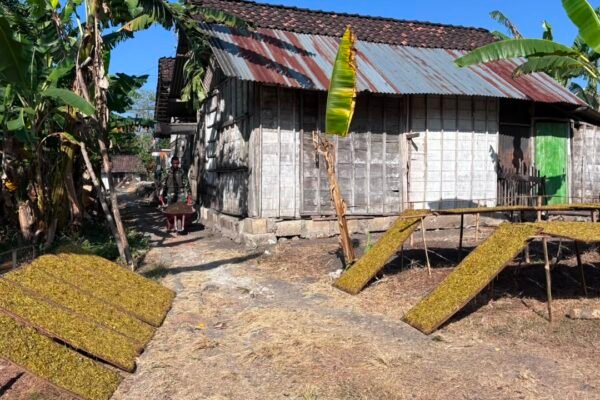Persiapan Maksimal Satgas TMMD Awali Pembangunan RTLH Ibu Jasmiati