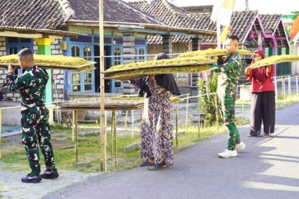 Kemanunggalan di Atas Widik: Cerita Kehangatan Satgas TMMD 129 Bojonegoro Bantu Olah Tembakau Petani Kesongo