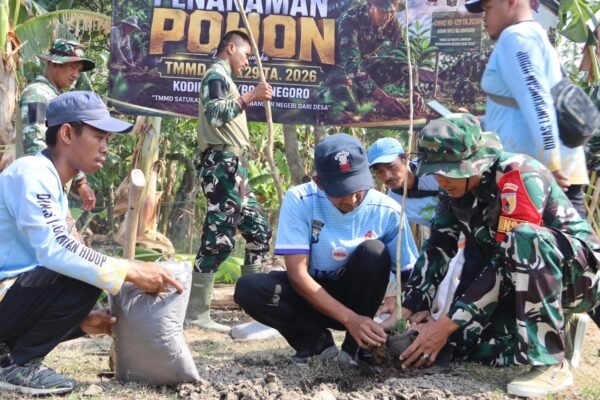 Warisan Hijau TMMD 129 Bojonegoro: Menanam Pohon, Merawat Masa Depan Desa Kesongo