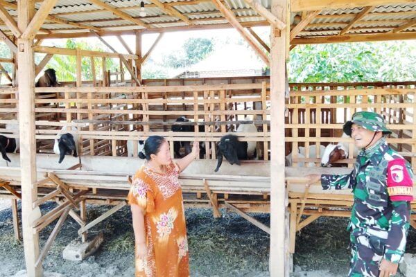 TMMD 129 Bojonegoro: Babinsa Kesongo ‘Sentuh Hati’ Peternak Kambing