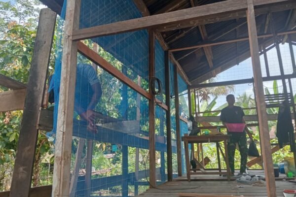 Kejar Target, Satgas TMMD Kodim 1206/Putussibau Percepat Rehabilitasi RTLH Ibu Marsiana