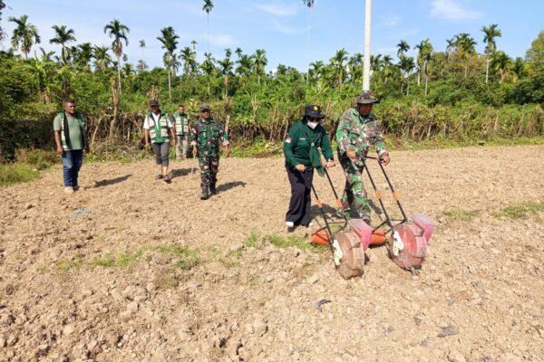Gandeng PPL, Satgas TMMD Ke-129 Kodim 0102/Pidie Edukasi Warga Tanam Jagung di Lahan Ketahanan Pangan
