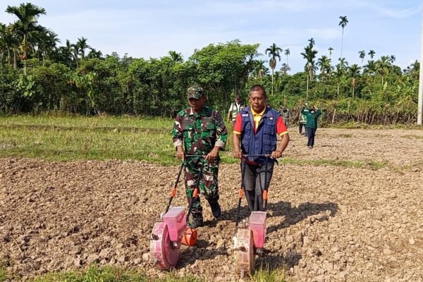 Kolaborasi Satgas TMMD dan PPL Dorong Pemanfaatan Lahan Produktif di Desa Lhok Panah