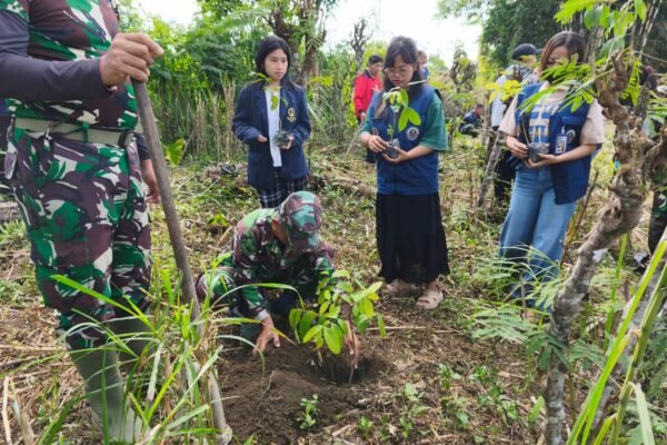 500 Pohon Mahoni Ditanam di Sekardadi, Satgas TMMD Dorong Penghijauan Berkelanjutan
