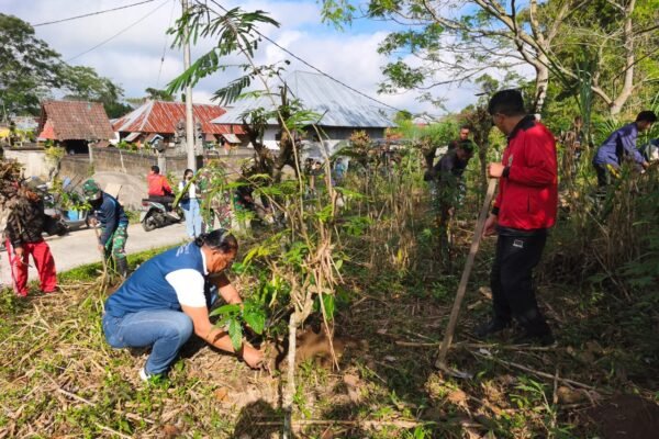 Tanam Mahoni di Sepanjang Jalan Rabat Beton, Satgas TMMD Bangli Ciptakan Lingkungan Lebih Teduh
