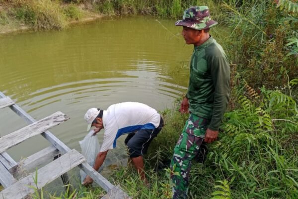 Perkuat Ketahanan Pangan Lokal, Satgas TMMD ke-129 Kodim 1206/Putussibau Bagikan Bibit Ikan ke Warga.