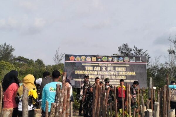 TMMD ke-129 Kodim 0315/Tanjungpinang Tanam Ribuan Mangrove, Jaga Pesisir Desa Busung dari Abrasi