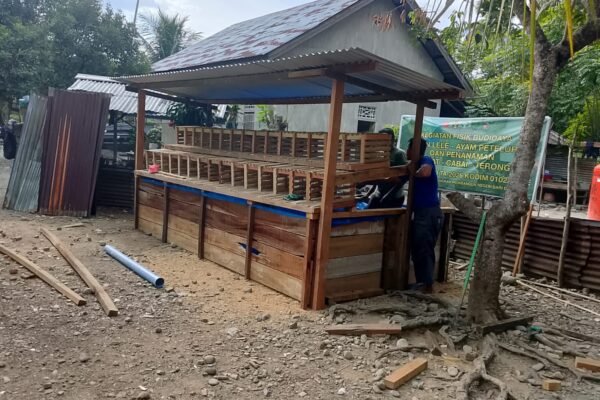 Lima Unit Kandang Ayam Petelur dan Kolam Lele TMMD ke-129 Rampung 100 Persen, Siap Dukung Kemandirian Pangan Warga