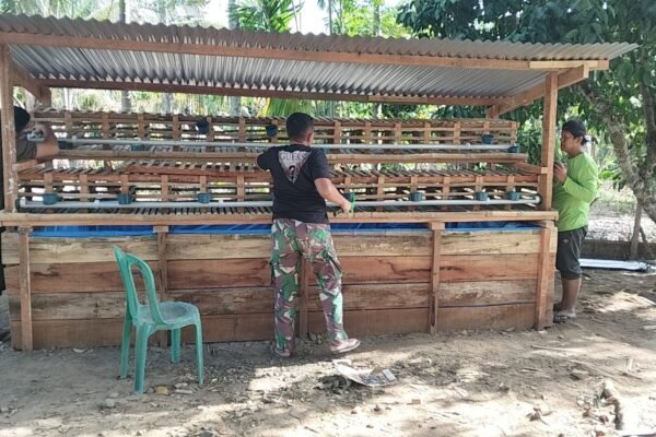 Dari Rumah Layak Huni Menuju Keluarga Mandiri, Satgas TMMD Bangun Kandang Ayam dan Kolam Lele untuk Nyak Ubit