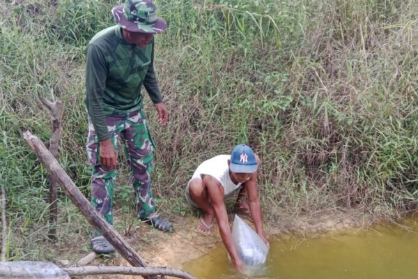 Perkuat Ketahanan Pangan Desa, Satgas TMMD Ke-129 Kodim 1206/Putussibau Bagikan Bibit Ikan kepada Warga