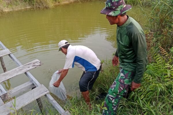 Dari Bibit Jadi Penghasilan, Satgas TMMD Ke-129 Dorong Warga Kapuas Hulu Kembangkan Budidaya Ikan