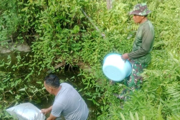 Sinergi TNI dan Warga, Satgas TMMD Ke-129 Kodim 1206/Putussibau Bangun Kemandirian Pangan Lewat Budidaya Ikan