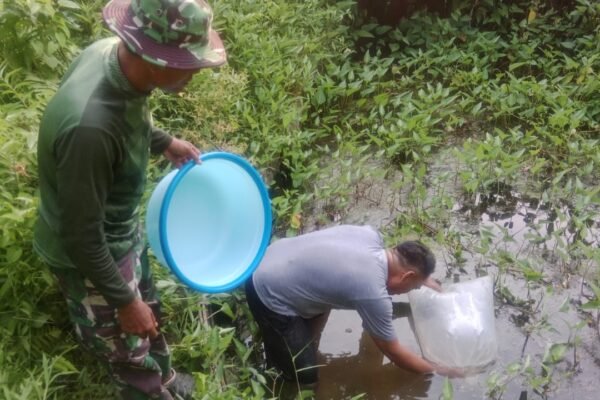 Tak Hanya Bangun Infrastruktur, Satgas TMMD Ke-129 Bekali Warga dengan Bibit dan Pengetahuan Budidaya Ikan