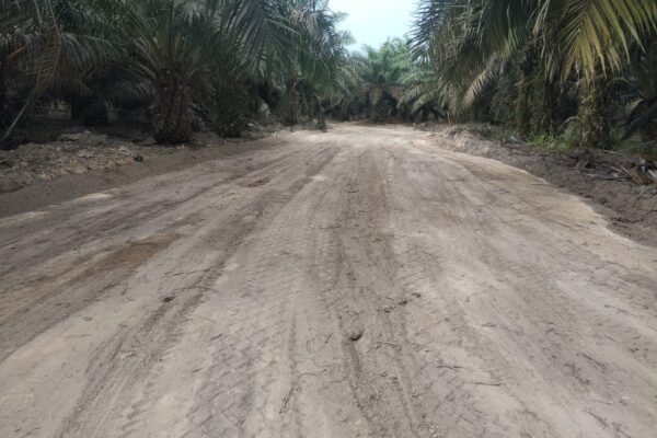 Jalan Penghubung Deniang–Penyamun Selesai, Petani Kini Punya Akses Lebih Lancar Angkut Hasil Bumi
