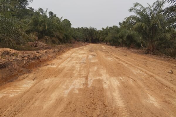 TMMD ke-129 Buka Konektivitas Baru, Jalan Deniang–Penyamun Kini Bisa Dilalui Lebih Nyaman