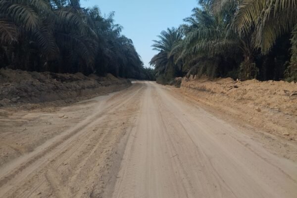 Jalan Deniang–Penyamun Rampung, Harapan Baru bagi Aktivitas Ekonomi Masyarakat