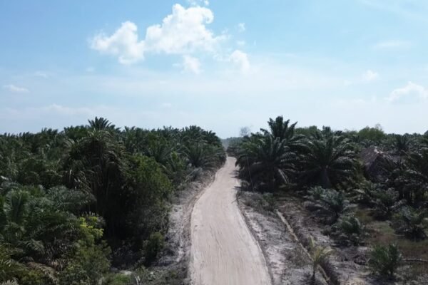 Jalan Penghubung Deniang-Penyamun Rampung, Harapan Baru bagi Ekonomi Warga