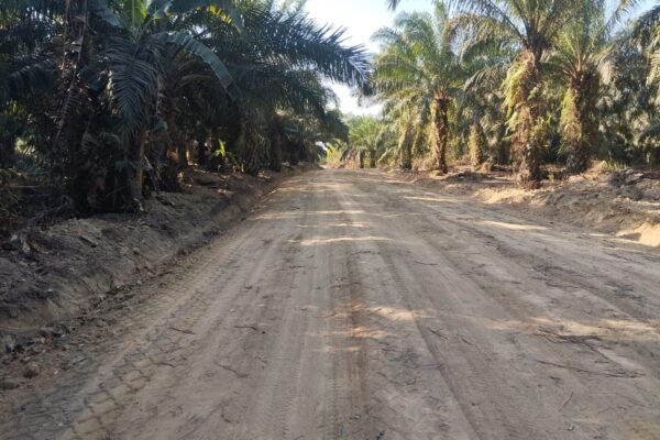 Akses Antardesa Kian Lancar, Jalan Deniang-Penyamun Rampung 100 Persen