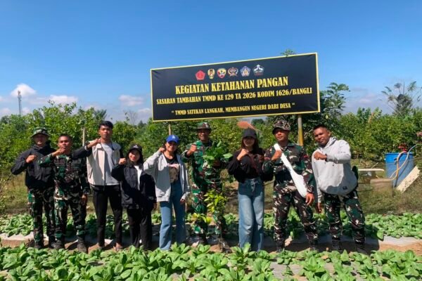 TMMD Ke-129 Kodim Bangli Dorong Kemandirian Pangan Lewat Budidaya Pakcoy