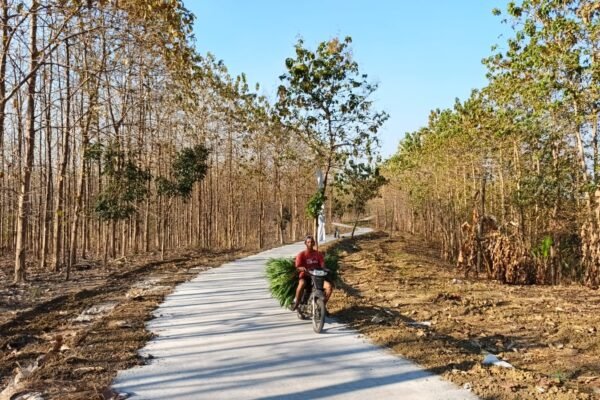 Bawa Angin Segar Kesejahteraan, Rampungnya Jalan Rabat Beton TMMD 129 Kodim 0812/Lamongan Pancarkan Kebahagiaan Tersendiri Bagi Warga Desa Tlemang