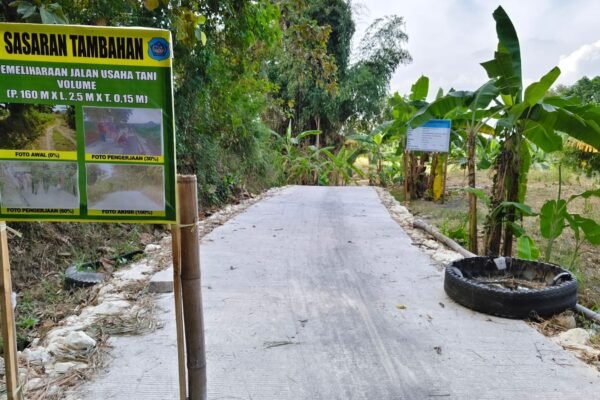 Dorong Pertumbuhan Ekonomi Desa, Satgas TMMD 129 Kodim 0812/Lamongan Bangun Jalan Usaha Tani Tlemang