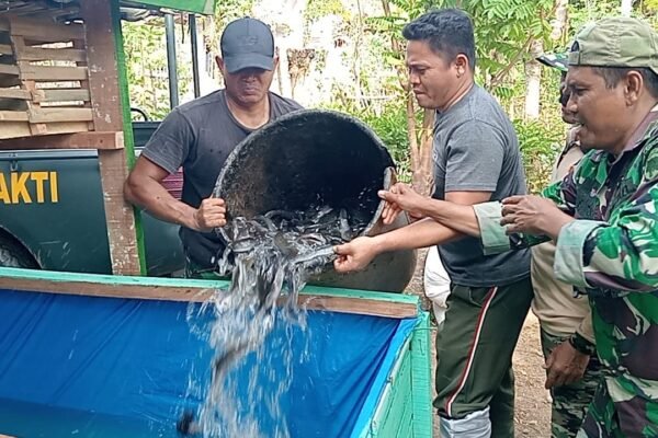 Satgas TMMD ke-129 Tebar Lele dan Isi Kandang Ayam Petelur di Lima Lokasi RTLH