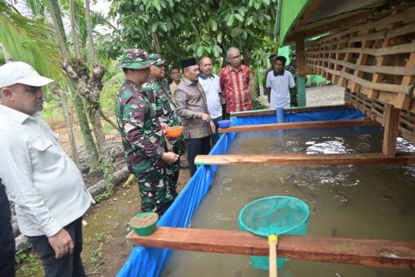Danrem 011/Lilawangsa Tinjau Sasaran Tambahan TMMD ke-129, Kolam Lele dan Kandang Ayam Petelur