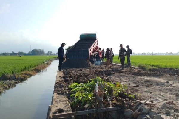 Progres Pembangunan Jalan Tani TMMD Ke-129 di Pinrang Capai 80 Persen