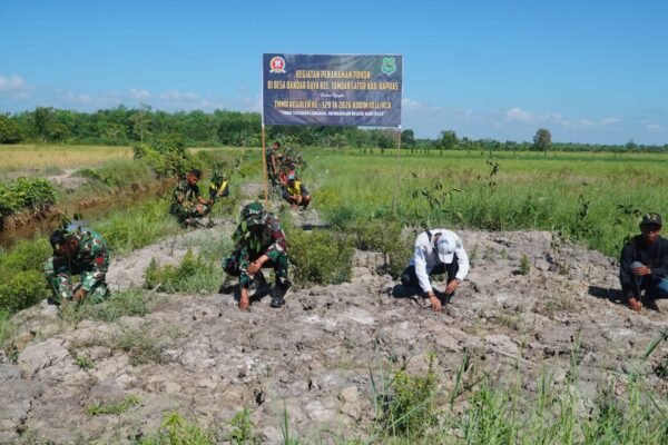 Satgas TMMD Ke-129 Kodim 1011/Kuala Kapuas Tanam Pohon, Wujud Nyata Kepedulian Terhadap Lingkungan