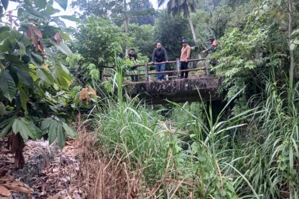 Jembatan Baru di Cendana: Kunci Peningkatan Mobilitas dan Ekonomi Warga